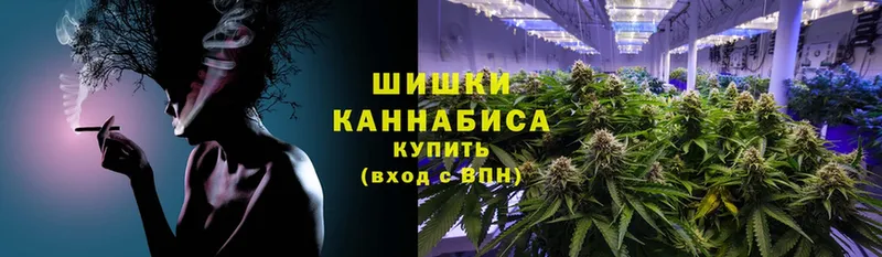 Бошки марихуана SATIVA & INDICA  Боровичи 